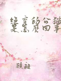 绝育的公猫尿血是怎么回事