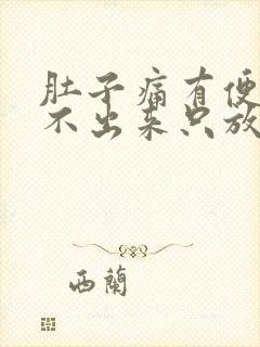 肚子痛有便意拉不出来只放屁