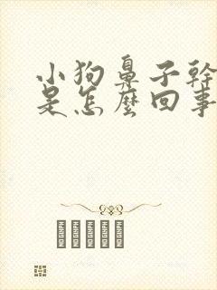 小狗鼻子干干的是怎么回事