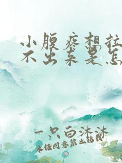 小腹疼想拉屎拉不出来是怎么回事