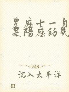 农历十一月十四是阳历的几月几日