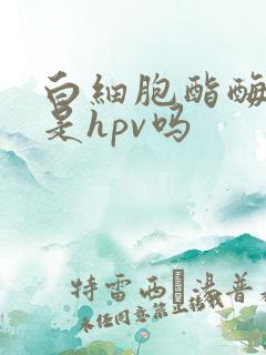白细胞酯酶阳性是hpv吗