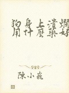 狗身上溃烂化脓用什么药好