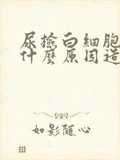 尿检白细胞多是什么原因造成