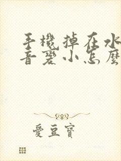 手机掉在水里声音变小怎么办