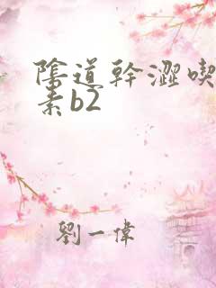 阴道干涩吃维生素b2