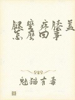 腿弯疼膝盖疼是怎么回事