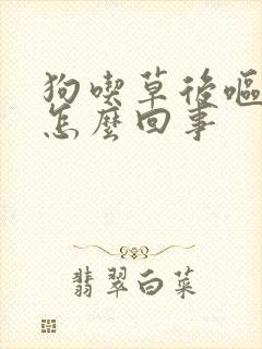 狗吃草后呕吐是怎么回事