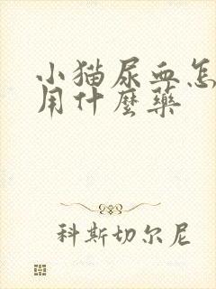 小猫尿血怎么办用什么药