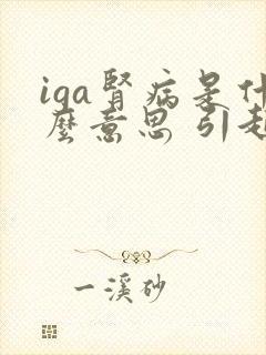 iga肾病是什么意思 引起肾病的一些原因