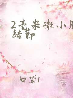 2毫米微小肺有结节