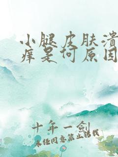 小腿皮肤溃烂奇痒是何原因