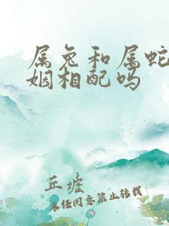 属兔和属蛇的婚姻相配吗