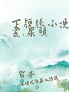 下腹胀小便尿不尽.尿频