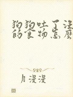 狗狗吐了没消化的食物怎么办