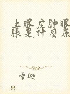 上眼皮肿眼睛发胀是什么原因