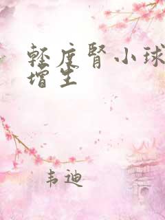 轻度肾小球系膜增生