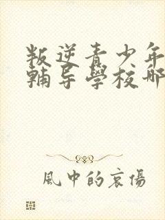 叛逆青少年心理辅导学校哪里有