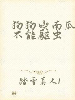 狗狗吃南瓜子能不能驱虫