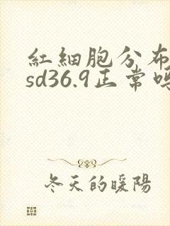 红细胞分布宽度sd36.9正常吗