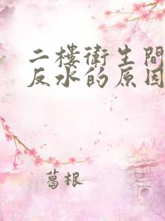 二楼卫生间地漏反水的原因