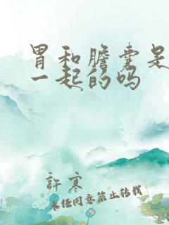 胃和胆囊是连在一起的吗