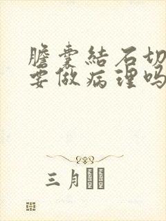 胆囊结石切除需要做病理吗