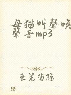 母猫叫声唤小猫声音mp3