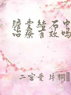 胆囊结石中医药治疗有效吗