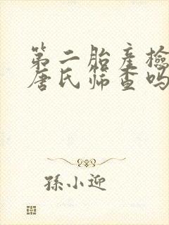 第二胎产检要做唐氏筛查吗