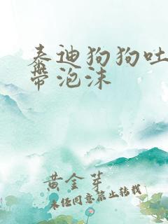 泰迪狗狗吐黄水带泡沫