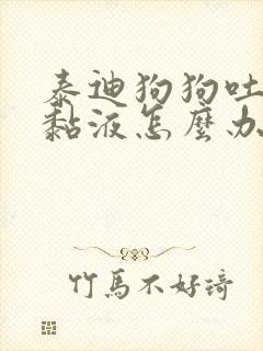 泰迪狗狗吐白沫黏液怎么办