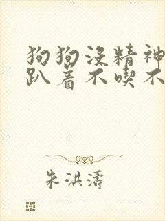 狗狗没精神一直趴着不吃不喝