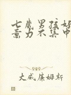 七岁男孩好动注意力不集中