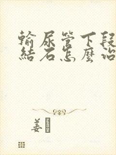 输尿管下段出现结石怎么治