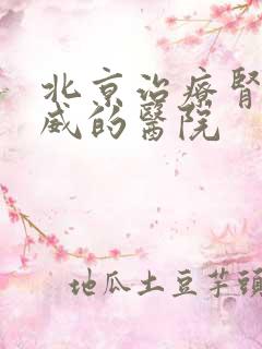 北京治疗肾病权威的医院