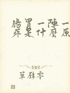 肠胃一阵一阵的疼是什么原因?