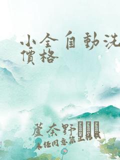 小全自动洗衣机价格