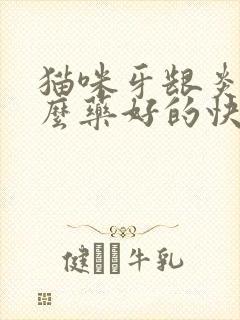 猫咪牙龈炎吃什么药好的快