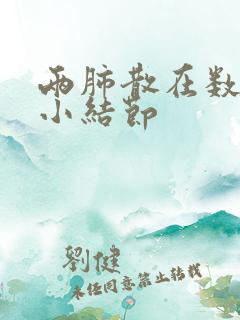 两肺散在数个微小结节