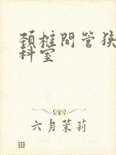 颈椎间管狭窄 科室