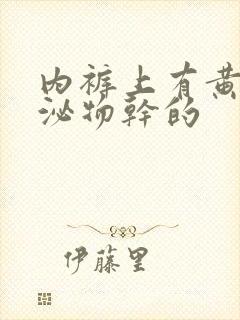 内裤上有黄色分泌物干的