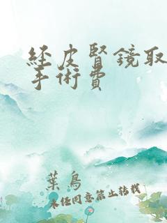 经皮肾镜取石术手术费