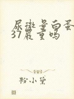 尿微量白蛋白137严重吗