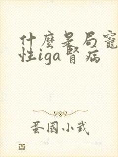 什么是局灶增生性iga肾病