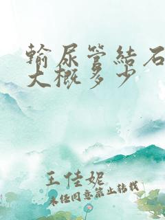 输尿管结石费用大概多少