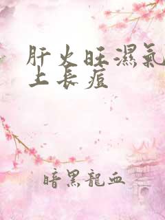 肝火旺湿气重脸上长痘