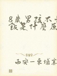 8岁男孩不爱吃饭是什么原因