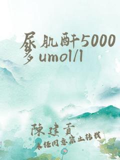 尿肌酐5000多umol/l