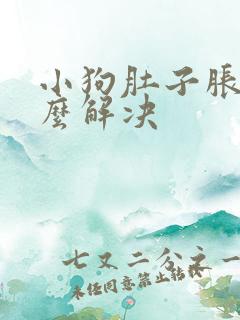 小狗肚子胀气怎么解决